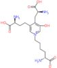 Deoxypyridinoline