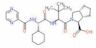 Cyclopenta[c]pyrrole-1-carboxylic acid, (2S)-2-cyclohexyl-N-(pyrazinylcarbonyl)glycyl-3-methyl-L-v…