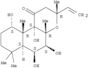 (3R,4aR,5S,6S,6aS,10S,10aR,10bS)-3-ethenyl-5,6,10,10b-tetrahydroxy-3,4a,7,7,10a-pentamethyldodecah…