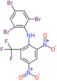 2,4,6-tribromo-N-[2,4-dinitro-6-(trifluoromethyl)phenyl]aniline