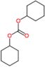dicyclohexyl carbonate