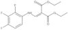 1,3-Diethyl 2-[[(2,3,4-trifluorophenyl)amino]methylene]propanedioate