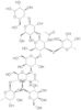 O-6-Deoxy-α-L-galactopyranosyl-(1→4)-O-[β-D-galactopyranosyl-(1→3)]-O-2-(acetylamino)-2-deoxy-β-D-…