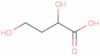 2,4-dihydroxy-Butanoic acid