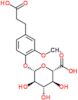 4-(2-carboxyethyl)-2-methoxyphenyl beta-D-glucopyranosiduronic acid