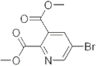 dimethyl 5-bromopyridine-2,3-dicarboxylate