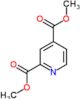 dimethyl pyridine-2,4-dicarboxylate