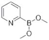 PYRIDINE-2-BORONIC ACID DIMETHYL ESTER