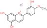 1-Benzopyrylium, 5,7-dihydroxy-2-(3-hydroxy-4-methoxyphenyl)-, chloride (1:1)