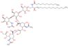 Ganglioside GD2