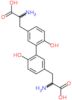 3,3'-(6,6'-dihydroxybiphenyl-3,3'-diyl)bis(2-aminopropanoic acid) (non-preferred name)