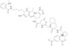 Dnp-Pro-.beta.-cyclohexyl-Ala-Gly-Cys(Me)-His-Ala-Lys(N-Me-Abz)-NH2