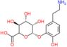(3S,4S,5S,6S)-6-[5-(2-aminoethyl)-2-hydroxy-phenoxy]-3,4,5-trihydroxy-tetrahydropyran-2-carboxylic acid