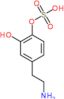 4-(2-aminoethyl)-2-hydroxyphenyl hydrogen sulfate