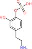 Dopamine 4-O-sulfate