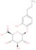 4-(2-aminoethyl)-2-hydroxyphenyl beta-D-glucopyranosiduronic acid