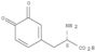 (αS)-α-Amino-3,4-diosso-1,5-cicloesadiene-1-propanoico acido