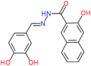 N'-[(E)-(3,4-dihydroxyphenyl)methylidene]-3-hydroxynaphthalene-2-carbohydrazide