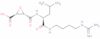 N-(trans-epoxysuccinyl)-L-leucine 4-guanidinobutylamide
