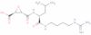 trans-Epoxysuccinyl-L-leucylamido-(4-guanidino)butane