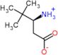 (3R)-3-ammonio-4,4-dimethylpentanoate
