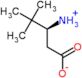 (R)-3-Amino-4,4-dimethylpentanoic acid