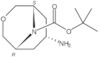 1,1-Dimethylethyl (7-endo)-7-amino-3-oxa-9-azabicyclo[3.3.1]nonane-9-carboxylate