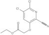 Acetic acid, 2-[(5,6-dichloro-2-cyano-3-pyridinyl)oxy]-, ethyl ester