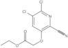 Ethyl 2-[(5,6-dichloro-2-cyano-3-pyridinyl)oxy]acetate