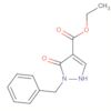 1H-Pyrazole-4-carboxylic acid, 2,5-dihydro-5-oxo-1-(phenylmethyl)-,ethyl ester