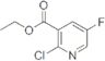 Ethyl 2-chloro-5-fluoro-3-pyridinecarboxylate