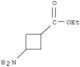 Cyclobutanecarboxylicacid, 3-amino-, ethyl ester