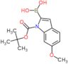[1-(tert-butoxycarbonyl)-6-methoxy-1H-indol-2-yl]boronic acid