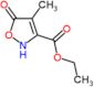 ethyl 4-methyl-5-oxo-2,5-dihydro-1,2-oxazole-3-carboxylate