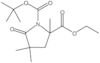 1-(1,1-Dimethylethyl) 2-ethyl 2,4,4-trimethyl-5-oxo-1,2-pyrrolidinedicarboxylate