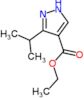 ethyl 3-(1-methylethyl)-1H-pyrazole-4-carboxylate