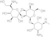 Hygromycin B