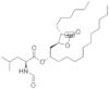 Tetrahydrolipstatin