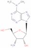 3'-amino-3'-deoxy-N,N-dimethyladenosine