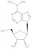 Aminonucleoside