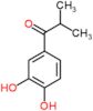 1-(3,4-dihydroxyphenyl)-2-methylpropan-1-one