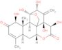 Eurycomanone