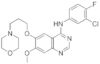 Géfitinib