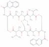 echinomycin