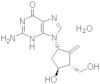 Monohidrato de entecavir