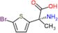 ácido (2S)-2-amino-2-(5-bromo-2-tienil)propanoico