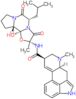 (5alpha,5'alpha)-12'-hydroxy-2'-methyl-5'-(2-methylpropyl)-3',6',18-trioxoergotaman