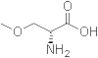 O-Methyl-D-serine