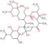 6-{[4-(dimethylamino)-3-hydroxy-6-methyltetrahydro-2H-pyran-2-yl]oxy}-14-ethyl-7,12,13-trihydrox...