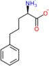 5-Phenylnorvaline